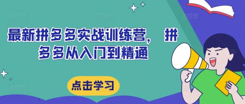 最新拼多多实战训练营， 拼多多从入门到精通-玩备项目资源网