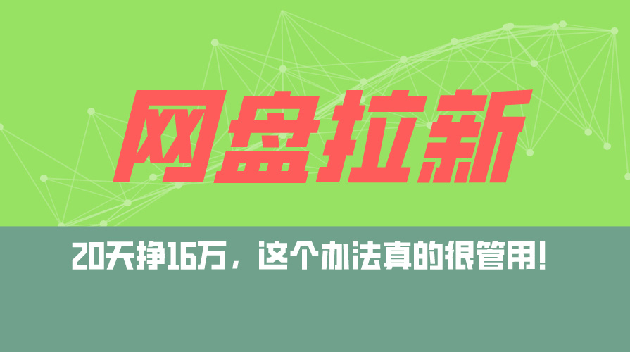 （12294期）网盘拉新+私域运营玩法，零基础入门，小白可操作，当天见效，日入5000+-玩备项目资源网