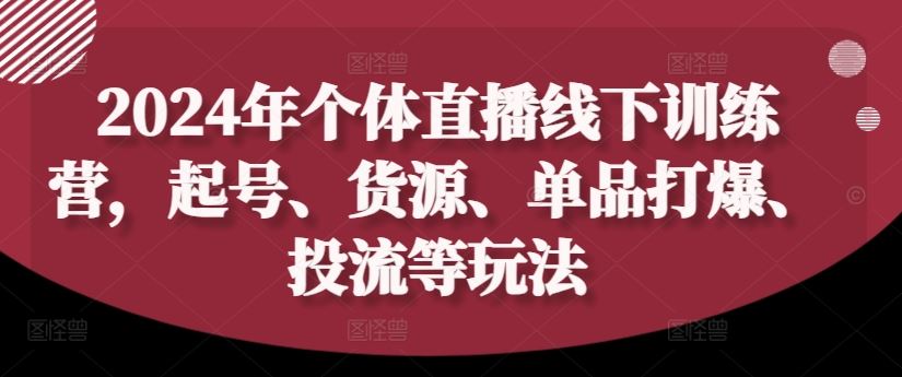 2024年个体直播训练营，起号、货源、单品打爆、投流等玩法-玩备项目资源网