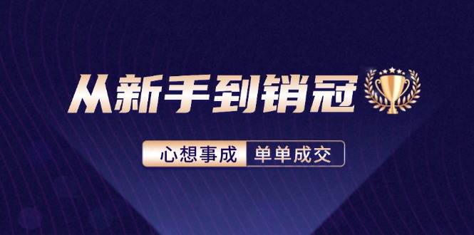 （12383期）从新手到销冠：精通客户心理学，揭秘销冠背后的成交秘籍-玩备项目资源网