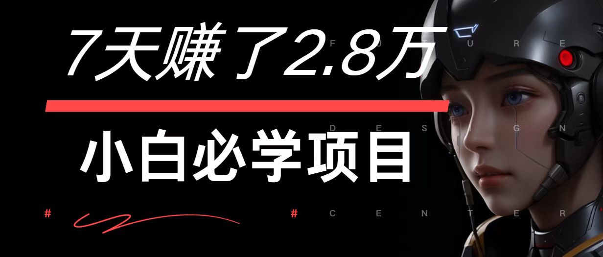 7天赚了2.8万！每单利润最少500+，轻松月入7万+小白有手就行-玩备项目资源网