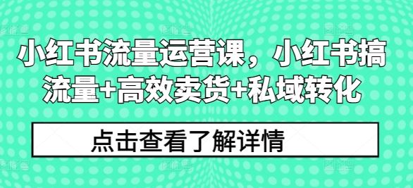 小红书流量运营课，小红书搞流量+高效卖货+私域转化-玩备项目资源网