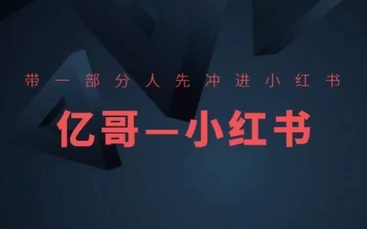​​带一部分人先冲进小红书，小红书开店、选品、爆款裂变-玩备项目资源网