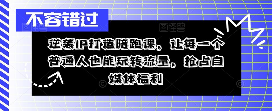 逆袭IP打造陪跑课，让每一个普通人也能玩转流量，抢占自媒体福利-玩备项目资源网