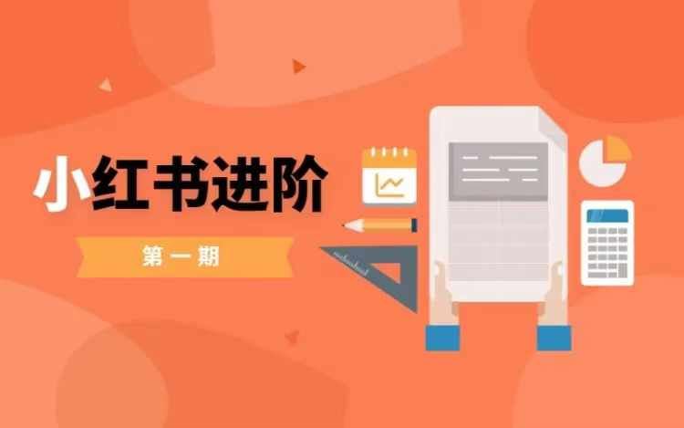 小红书进阶篇，零基础小白实战课，普通人变现的课程-玩备项目资源网