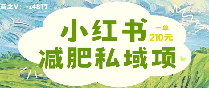 小红书减肥粉，私域变现项目，一单就达210元，小白也能轻松上手【揭秘】-玩备项目资源网