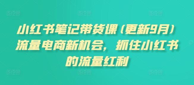 小红书笔记带货课(更新9月)流量电商新机会，抓住小红书的流量红利-玩备项目资源网