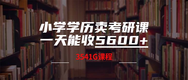 （12556期）小学学历卖考研课程，一天收5600（附3580G考研合集）-玩备项目资源网