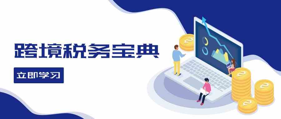 跨境税务宝典教程：跨境电商全球税务处理策略-玩备项目资源网