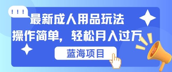 最新成人用品项目玩法，操作简单，动动手，轻松日入几张【揭秘】-玩备项目资源网
