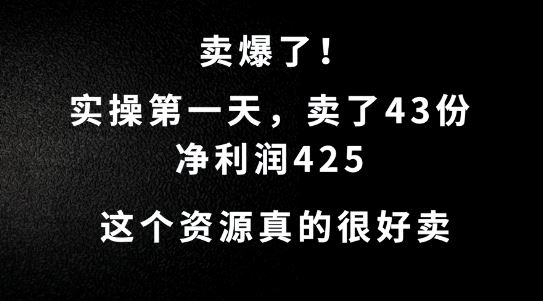 这个资源，需求很大，实操第一天卖了43份，净利润425【揭秘】-玩备项目资源网