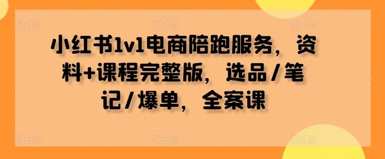小红书1v1电商陪跑服务，资料+课程完整版，选品/笔记/爆单，全案课-玩备项目资源网
