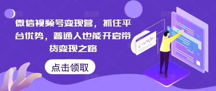 微信视频号变现营，抓住平台优势，普通人也能开启带货变现之路-玩备项目资源网