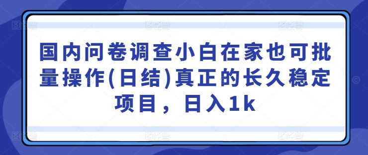 国内问卷调查小白在家也可批量操作(日结)真正的长久稳定项目，日入1k【揭秘】-玩备项目资源网