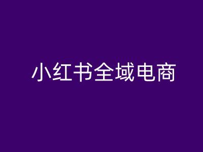 小红书全域电商，小红书电商教程-玩备项目资源网