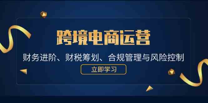 跨境电商运营：财务进阶、财税筹划、合规管理与风险控制-玩备项目资源网