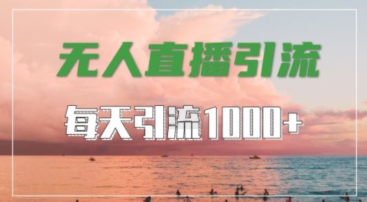 抖音快手视频号全平台通用，无人直播引流法，超暴力引流1000+高质量精准创业粉【揭秘】-玩备项目资源网