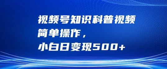 视频号知识科普视频，简单操作，小白日变现500+【揭秘】-玩备项目资源网