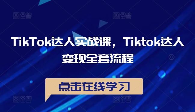 TikTok达人实战课，Tiktok达人变现全套流程-玩备项目资源网