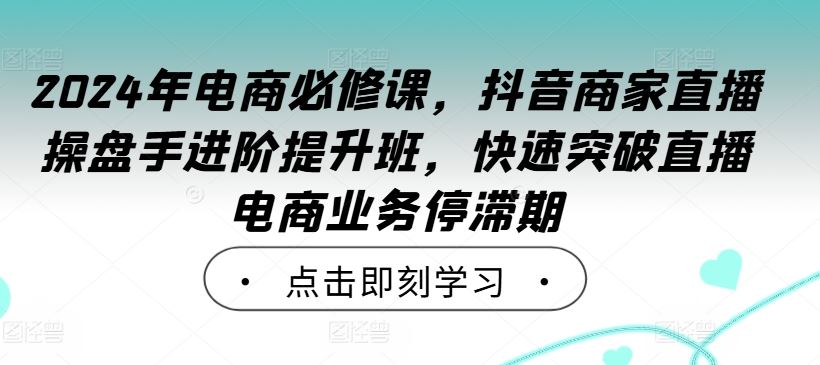 2024年电商必修课，抖音商家直播操盘手进阶提升班，快速突破直播电商业务停滞期-玩备项目资源网