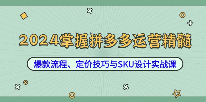 （12703期）2024掌握拼多多运营精髓：爆款流程、定价技巧与SKU设计实战课-玩备项目资源网
