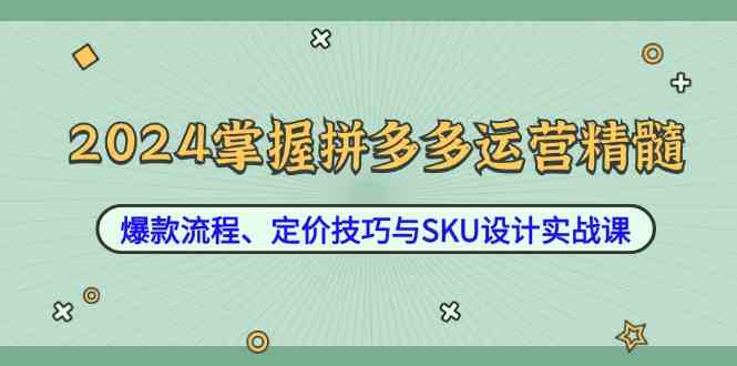 2024掌握拼多多运营精髓：爆款流程、定价技巧与SKU设计实战课-玩备项目资源网