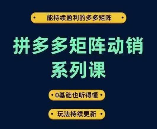 拼多多矩阵动销系列课，能持续盈利的多多矩阵，0基础也听得懂，玩法持续更新-玩备项目资源网