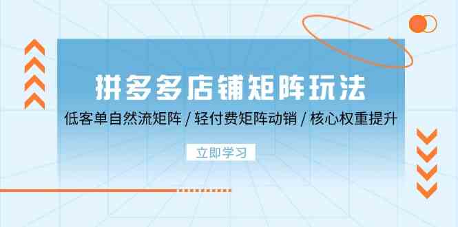 拼多多店铺矩阵玩法：低客单自然流矩阵 / 轻付费矩阵 动销 / 核心权重提升-玩备项目资源网