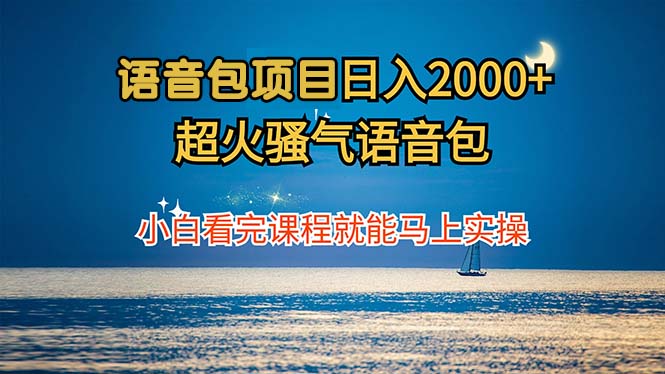（12734期）语音包项目 日入2000+ 超火骚气语音包小白看完课程就能马上实操-玩备项目资源网