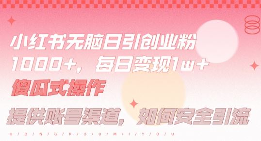 小红书无脑每日引流创业粉500+，小白每天只花半小时，躺赚长尾收益【揭秘】-玩备项目资源网
