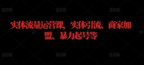 实体流量运营课，实体引流、商家加盟、暴力起号等-玩备项目资源网