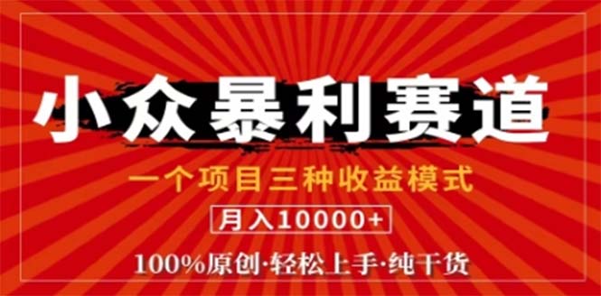（12756期）视频号最新爆火赛道，三种可收益模式，0粉新号条条原创条条热门 日入1000+-玩备项目资源网