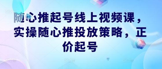 随心推起号线上视频课，实操随心推投放策略，正价起号-玩备项目资源网
