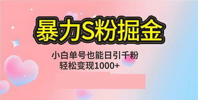 （12778期）单人单机日引千粉，变现1000+，S粉流量掘金计划攻略-玩备项目资源网