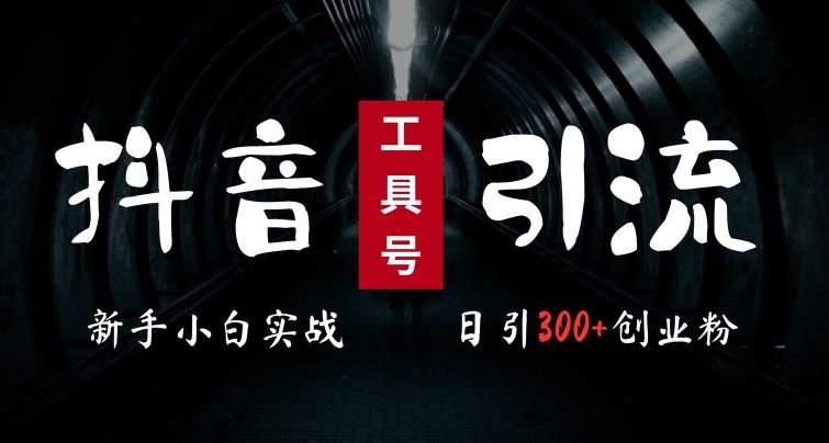 2024最新抖音工具号引流玩法，高效日引300+创业粉，当天变现5k，小白也可成为实战高手-玩备项目资源网