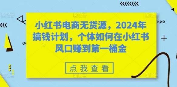 小红书电商无货源，2024年搞钱计划，个体如何在小红书风口赚到第一桶金-玩备项目资源网