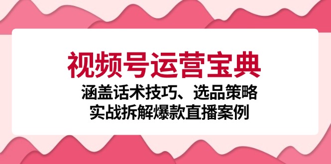视频号运营宝典：涵盖话术技巧、选品策略、实战拆解爆款直播案例-玩备项目资源网