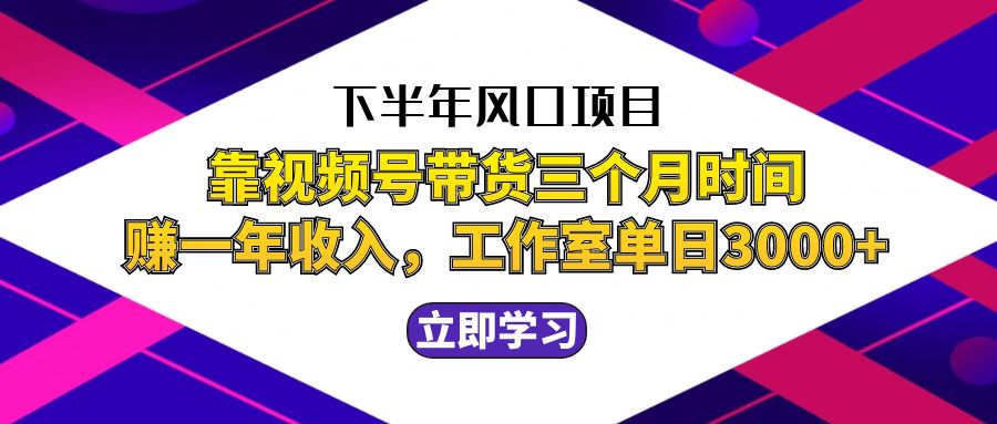 下半年风口项目，靠视频号带货三个月时间赚一年收入，工作室实测单日3…-玩备项目资源网