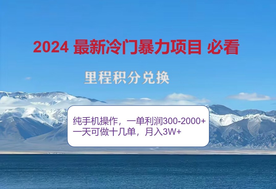 2024惊爆冷门暴利，里程积分最新玩法，高爆发期，一单300+—2000+-玩备项目资源网