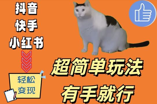 超简单玩法，有手就行，靠猫咪视频日入500+【揭秘】-玩备项目资源网