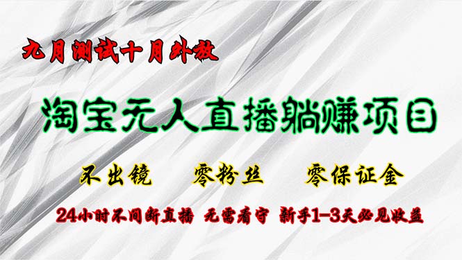（12862期）淘宝无人直播最新玩法，九月测试十月外放，不出镜零粉丝零保证金，24小…-玩备项目资源网