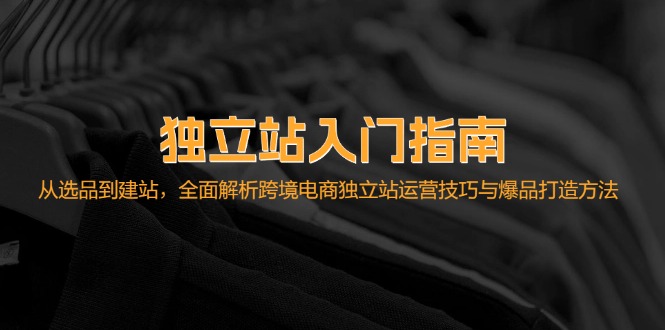 （12882期）独立站入门指南：从选品到建站，全面解析跨境电商独立站运营技巧与爆品…-玩备项目资源网