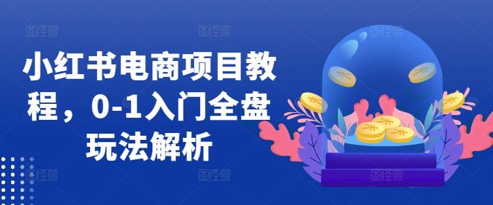 小红书电商项目教程，0-1入门全盘玩法解析-玩备项目资源网
