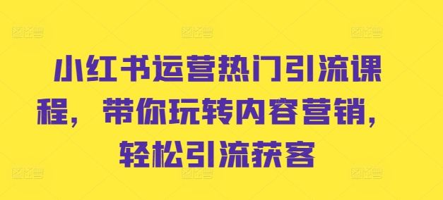 小红书运营热门引流课程，带你玩转内容营销，轻松引流获客-玩备项目资源网