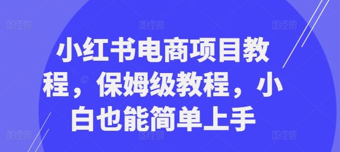小红书电商项目教程，保姆级教程，小白也能简单上手-玩备项目资源网