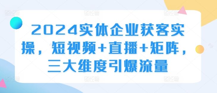 2024实体企业获客实操，短视频+直播+矩阵，三大维度引爆流量-玩备项目资源网