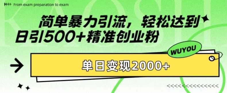 简单暴力引流，轻松达到日引500+精准创业粉，单日变现2k【揭秘】-玩备项目资源网