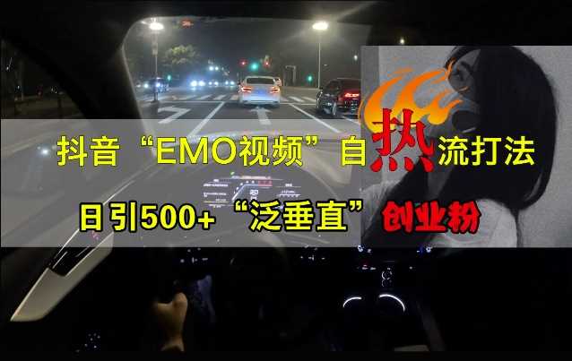 抖音EMO视频自热打法，日引500+“泛垂直”创业粉-玩备项目资源网