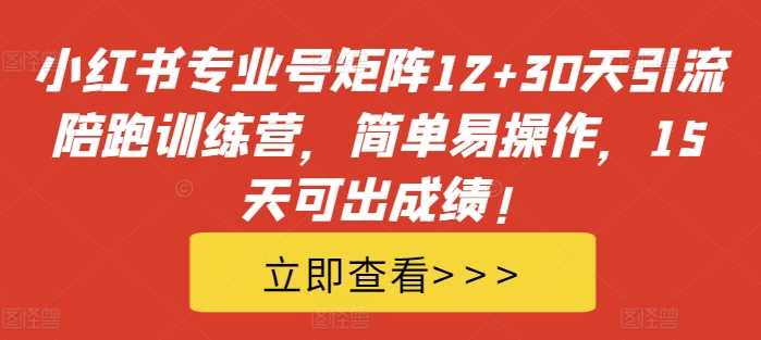 小红书专业号矩阵12+30天引流陪跑训练营，简单易操作，15天可出成绩!-玩备项目资源网