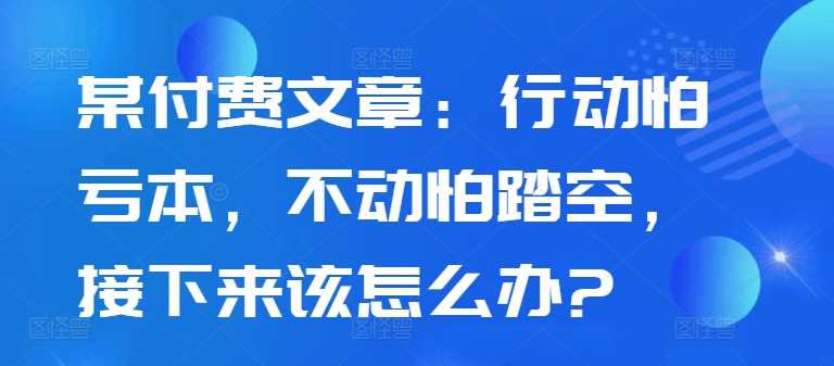 某付费文章：行动怕亏本，不动怕踏空，接下来该怎么办?-玩备项目资源网